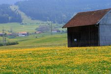 Fields And Meadows Stock Photo Fields And Meadows Stock Photo