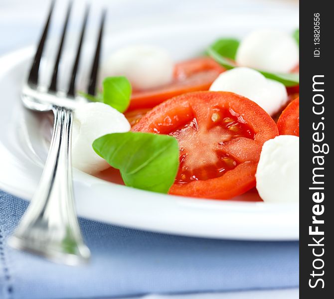 Close up of salad with mozzarella and tomatoes. Close up of salad with mozzarella and tomatoes