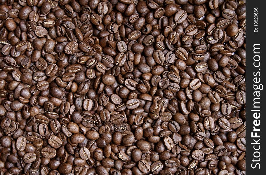 Roasted Coffee Beans