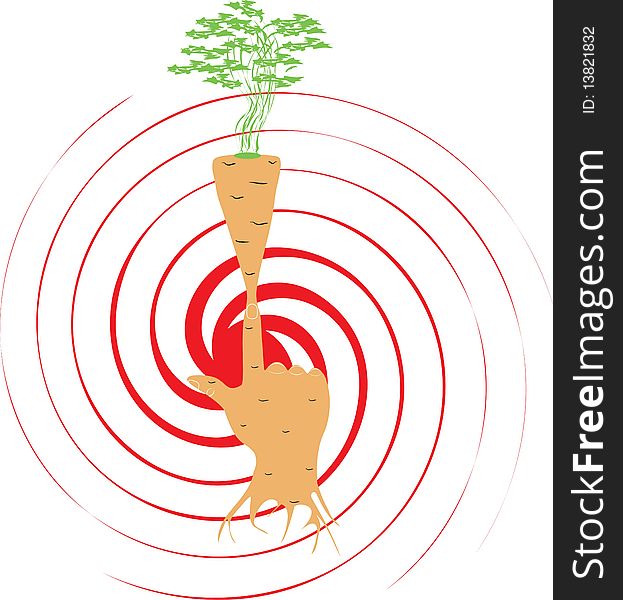 Carrots sprouting from a finger of a human hand. Carrots sprouting from a finger of a human hand