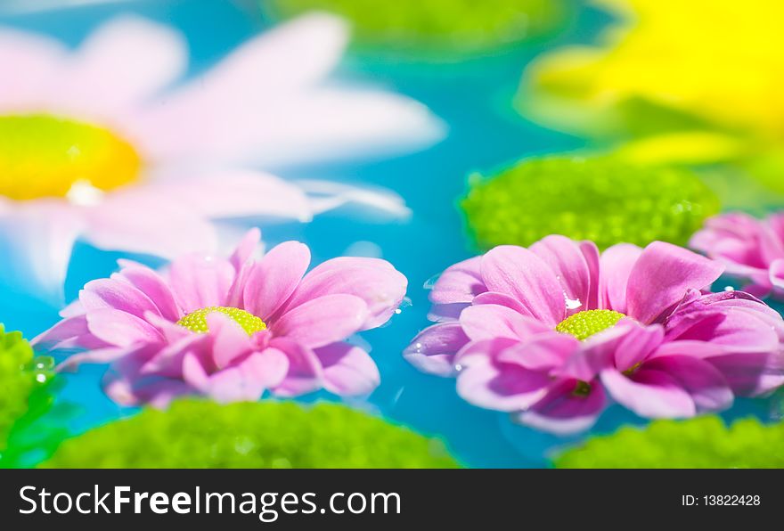 Multiple flowers floating in blue water. Multiple flowers floating in blue water