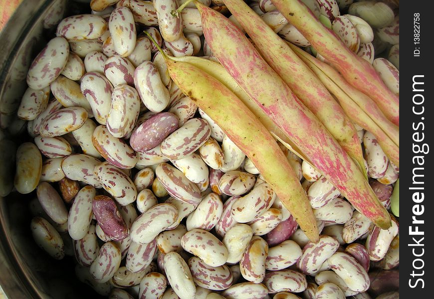 Close up of spotted white kidney beans with the pea pods. Close up of spotted white kidney beans with the pea pods.