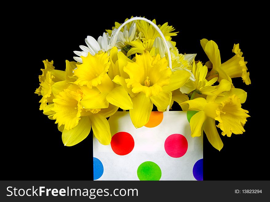 Daffodils and daisies in a polka dot bag. Daffodils and daisies in a polka dot bag.