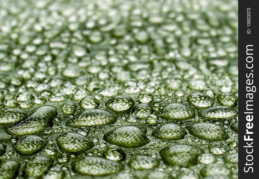 Water drops on green leaf closeup background. Water drops on green leaf closeup background.