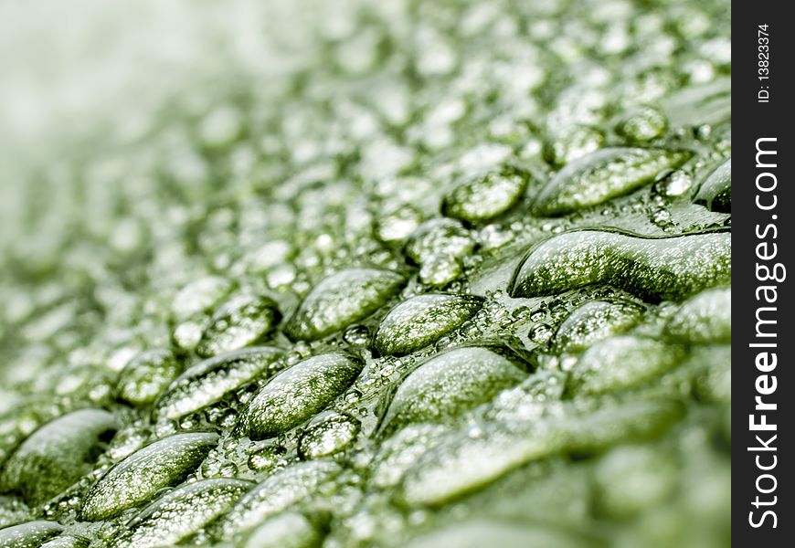 Water drops on green leaf closeup background. Water drops on green leaf closeup background.