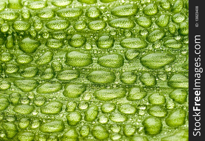 Water drops on green leaf closeup background. Water drops on green leaf closeup background.