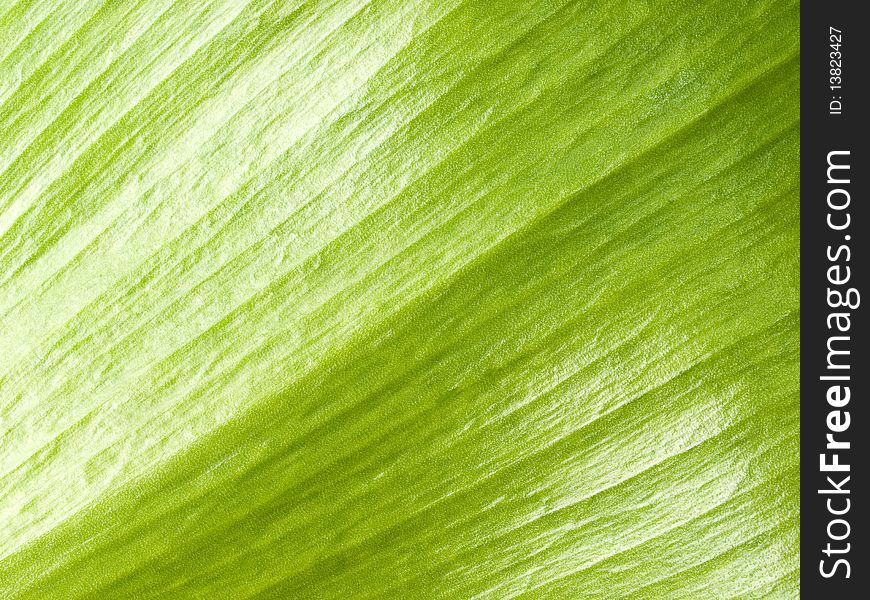 Green leaf texture closeup background. Green leaf texture closeup background.