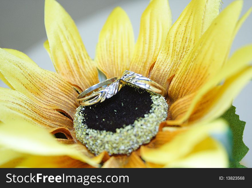 Two wedding rings on a sunflower. Two wedding rings on a sunflower