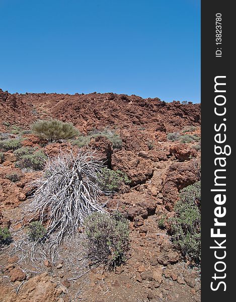 Volcanic landscape on a  clear day - Mount Teide, Tenerife. Volcanic landscape on a  clear day - Mount Teide, Tenerife