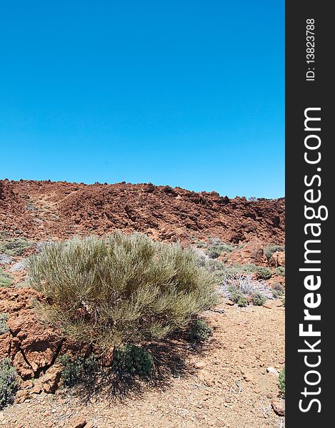 Volcanic landscape on a  clear day - Mount Teide, Tenerife. Volcanic landscape on a  clear day - Mount Teide, Tenerife