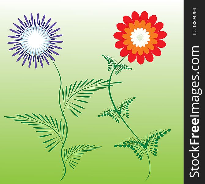 Color vector image of two different flowers. Color vector image of two different flowers