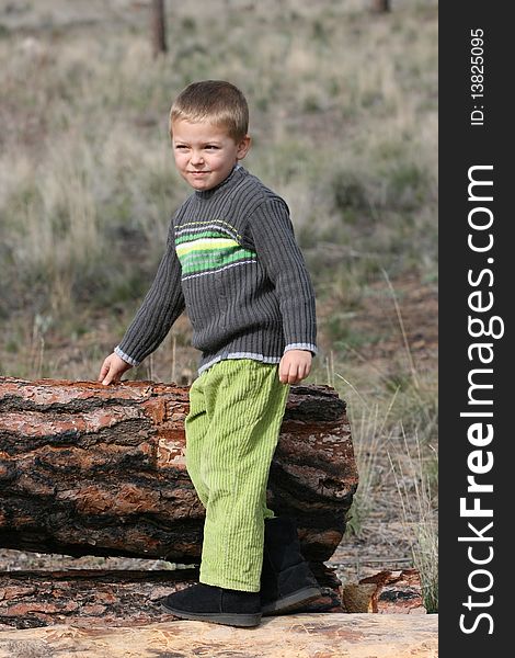 Little boy playing on tree trunks in the forest. Little boy playing on tree trunks in the forest