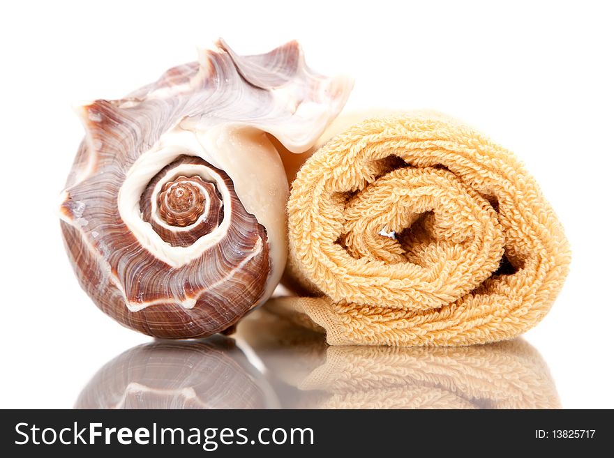 Seashell And Bath Towels