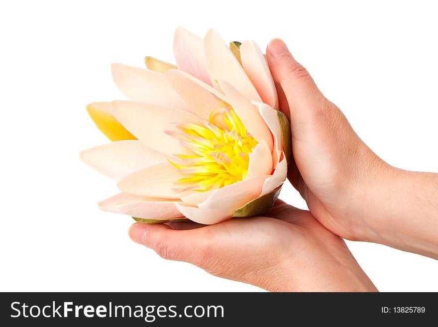 Woman holding a waterlily with her hands. Woman holding a waterlily with her hands