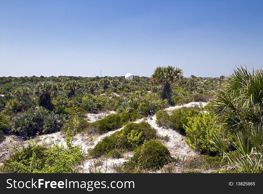 Sand dunes near the ocean shore near New Smyrna Beach, Florida.