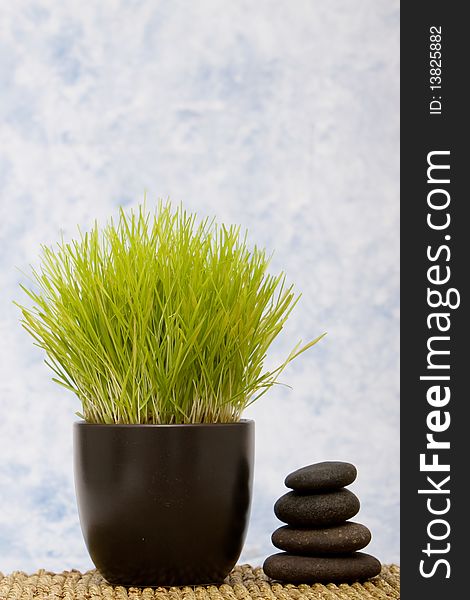 Stack of massage stones with wheatgrass. Stack of massage stones with wheatgrass