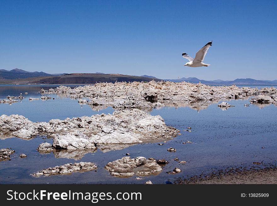 Mono Lake in California USA