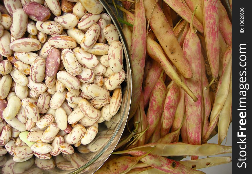 Close up of spotted white kidney beans with the pea pods. Close up of spotted white kidney beans with the pea pods.