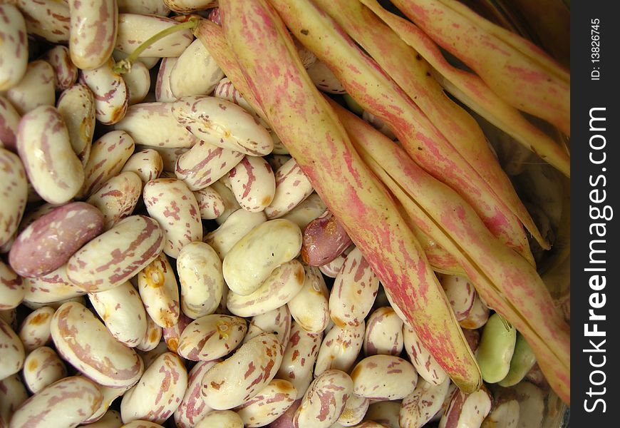 Close up of spotted white kidney beans with the pea pods. Close up of spotted white kidney beans with the pea pods.