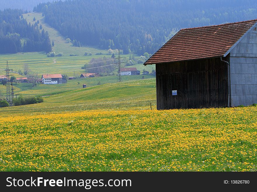 Traditional cabins in Dandelion Fields. Traditional cabins in Dandelion Fields