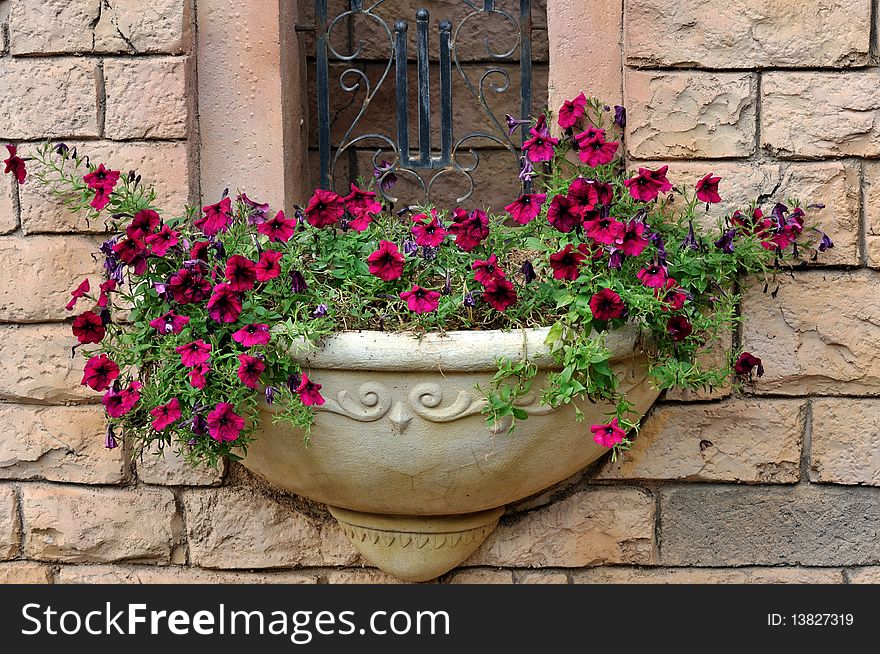 A small parterre or basket of flower, decorated on external wall of a castte building, appears beautiful shape and harmonious color. A small parterre or basket of flower, decorated on external wall of a castte building, appears beautiful shape and harmonious color.