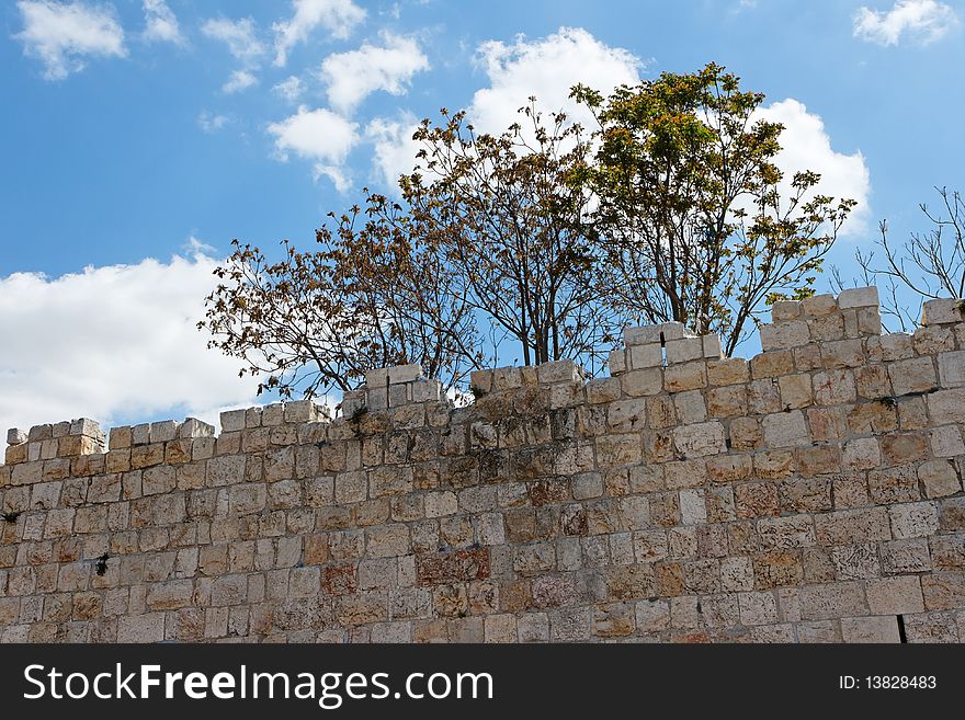 Trees above ancient stone wall of Old City of Jerusalem
