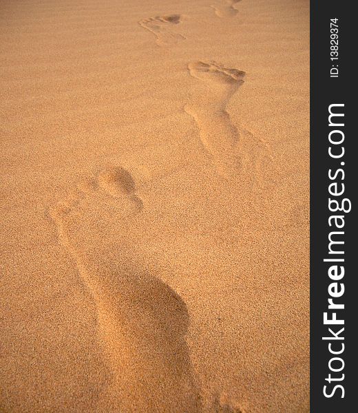 Footprints on the sand