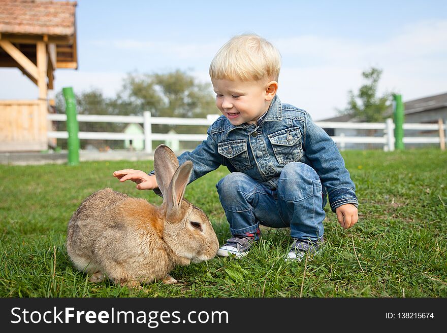 Little boy, wearing jeans jacket and jeans is happy to meet a rabbit on the farm. Little boy, wearing jeans jacket and jeans is happy to meet a rabbit on the farm