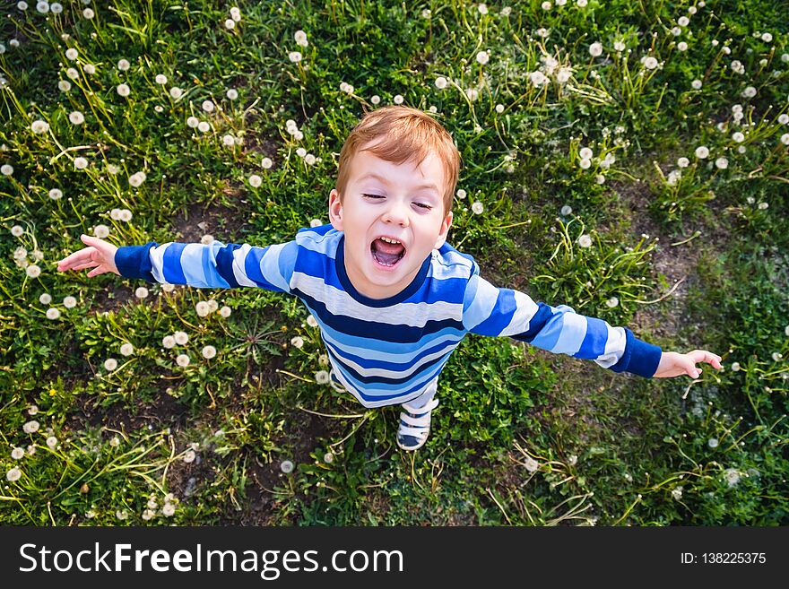 Child field grass boy childhood dandelion fun. white. Child field grass boy childhood dandelion fun. white