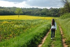 WAKING IN NATURE Royalty Free Stock Photography WAKING IN NATURE Royalty Free Stock Photography