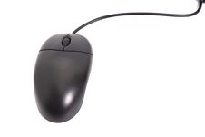 Computer Mouse Stock Photo Computer Mouse Stock Photo