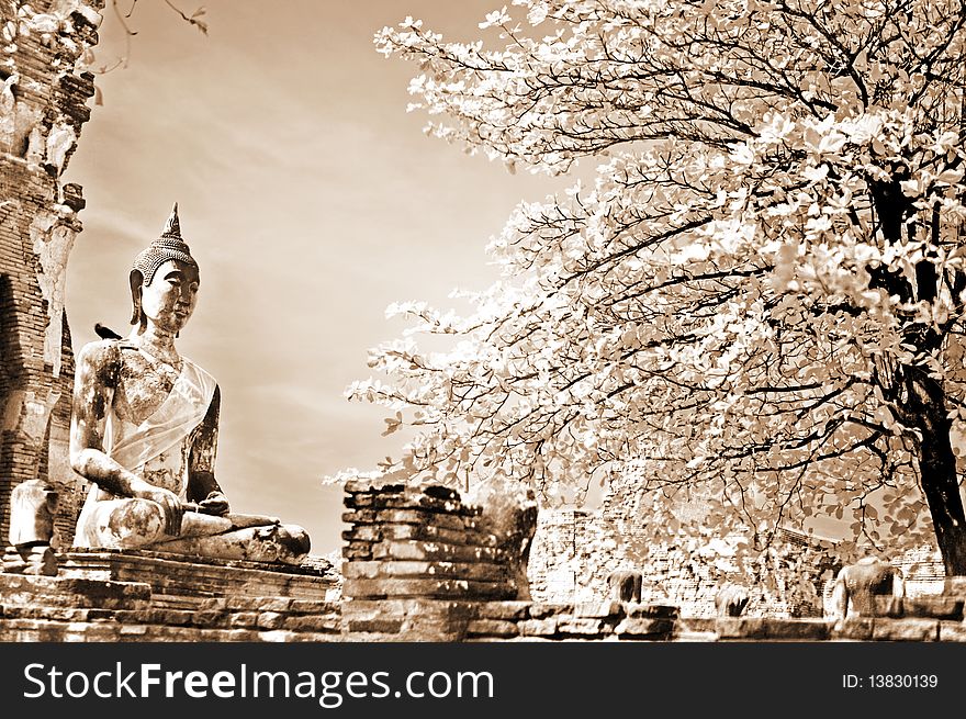 Monuments of buddah, ruins of Ayutthaya, old capital of Thailand