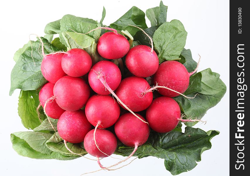 Bunch of radishes on a white background