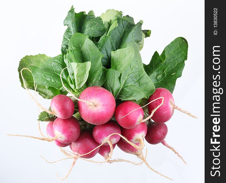 Bunch of radishes on a white background