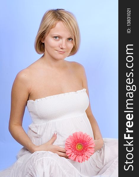 Pregnant female on blue background