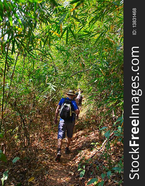 Hiking in mountains. Jungles in Thailand