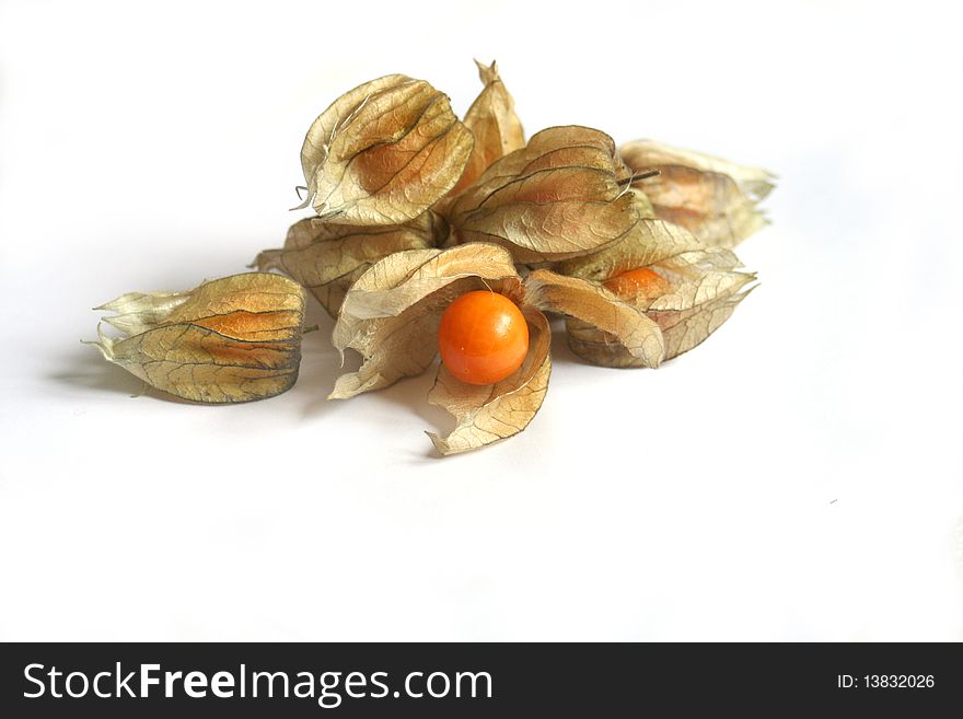 Group of Physalis fruits isolated on white. Group of Physalis fruits isolated on white