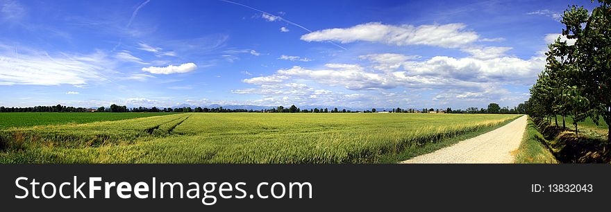 Stitched Panorama of country landscape