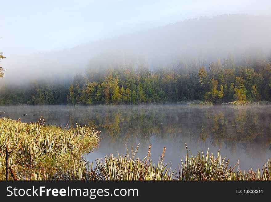 Misty morning by the lake in spring