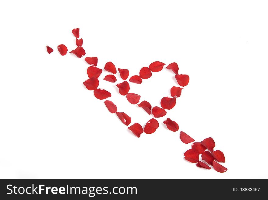 Red petals heart, love valentines flowers metaphor