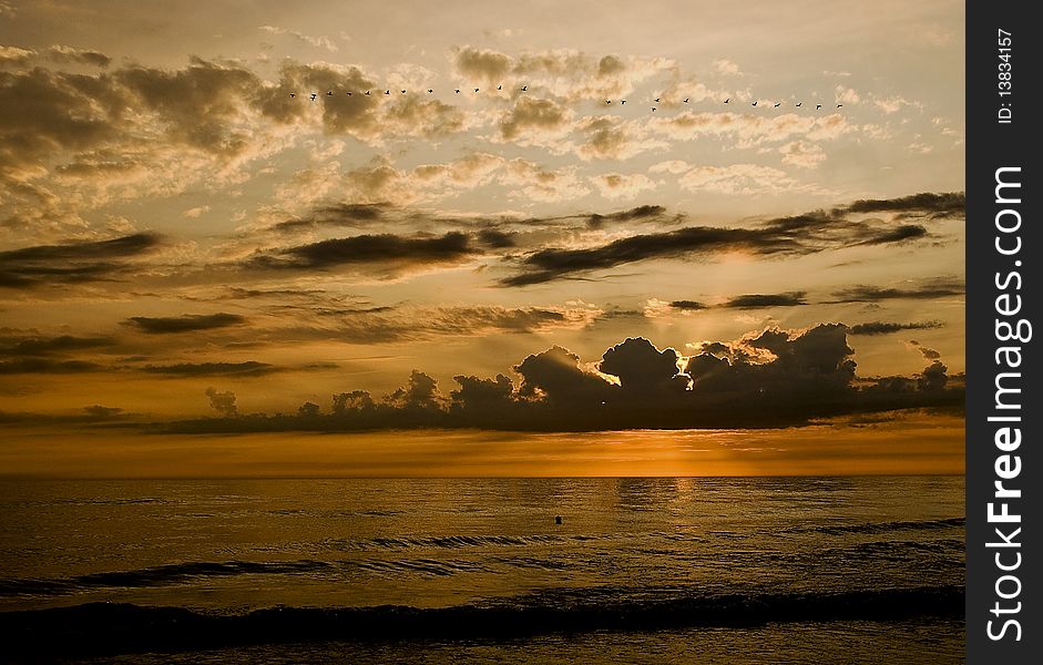 Sunset With Flying Cormorants