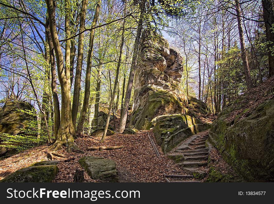 Spring wood with rock, trees and stair under blue sky. Spring wood with rock, trees and stair under blue sky