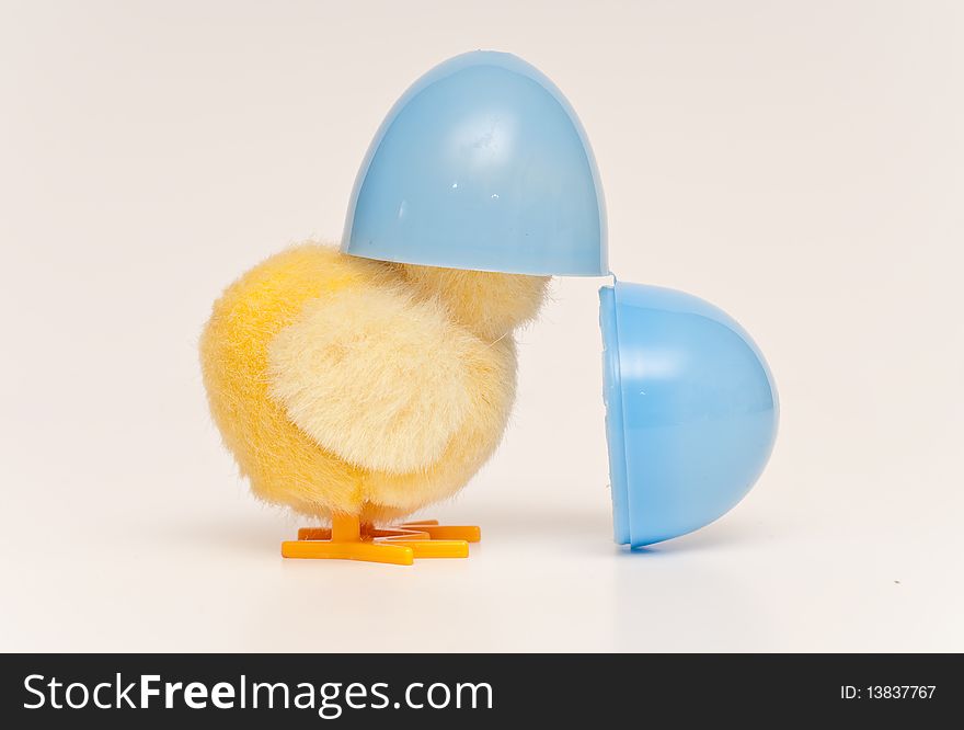 Easter Toy Chick with Head in Half a Plastic Blue Egg on White. Easter Toy Chick with Head in Half a Plastic Blue Egg on White