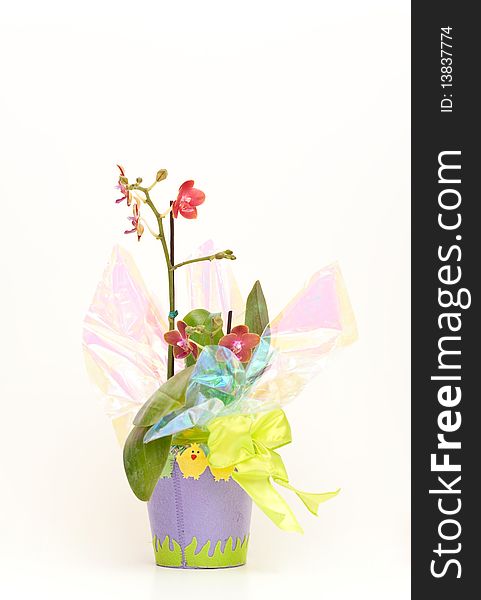 Spring Childrens Flower Pot