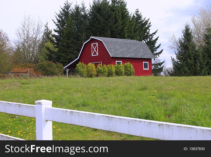 A solitary red barn in a large field with trees in the background, rural Oregon. A solitary red barn in a large field with trees in the background, rural Oregon.