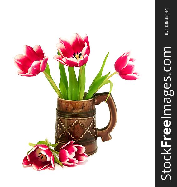 bouquet of tulips in ceramic mug isolated on white background