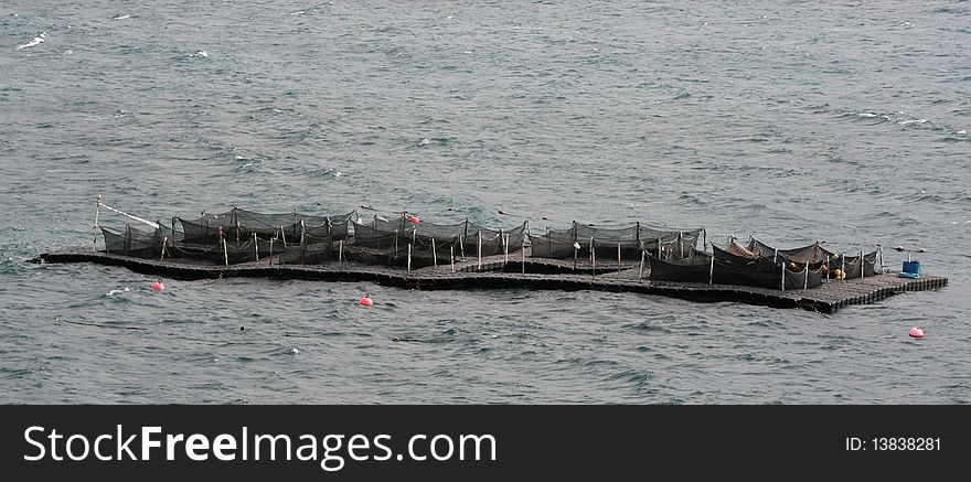 A large fish farming net in rough winter seas. A large fish farming net in rough winter seas