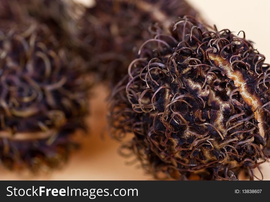 Hairy tropical rambutan fruit. Shallow depth of field. Hairy tropical rambutan fruit. Shallow depth of field