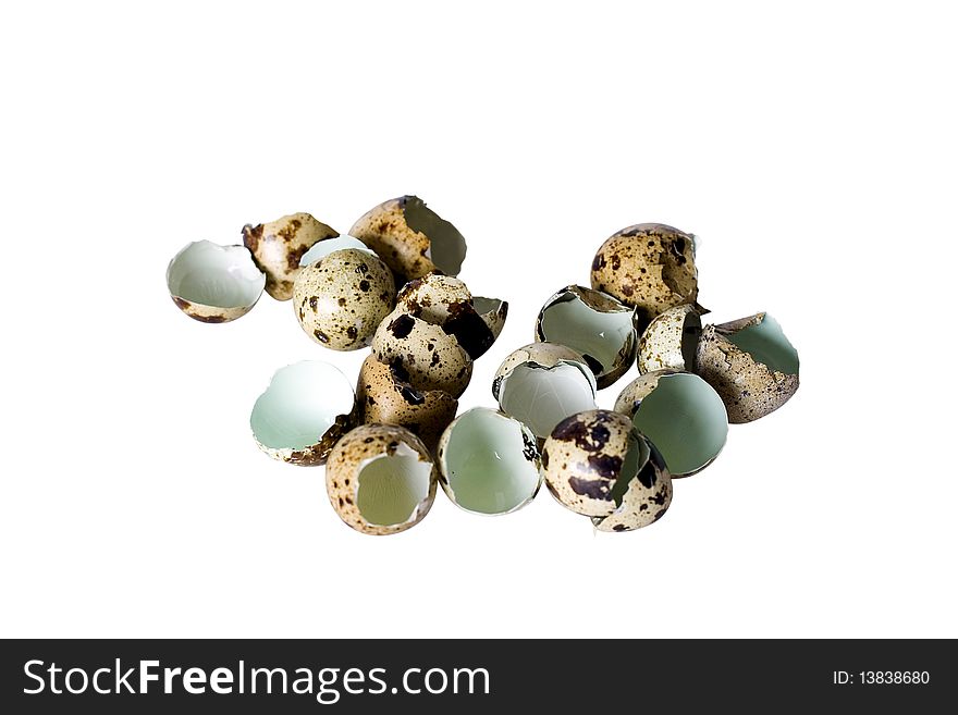 Shell of quail eggs on white background isolated