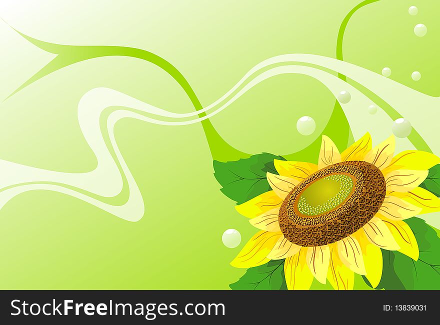 Illustration sunflowers on a green background